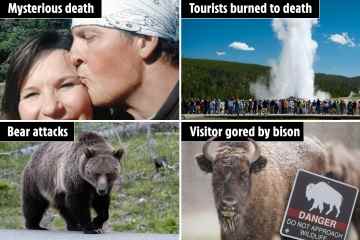 Ein Einblick in die schrecklichsten ungelösten Geheimnisse und grausamen Todesfälle von Yellowstone