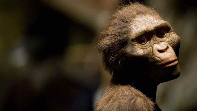Hominide Australopithecus afarensis