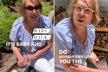 Ich bin eine Internet-Mutter - das Reiben eines Haushaltsprodukts schützt vor Mücken