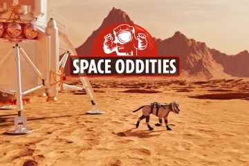 Warum Menschen auf dem Mars einer hundelosen Zukunft gegenüberstehen und Katzen auf dem Planeten regieren könnten
