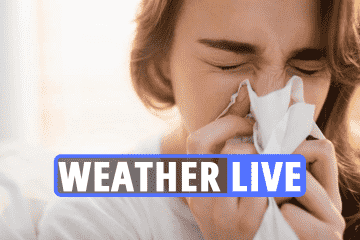 Warnung als 'Donnerfieber', 'SUPER-Pollen' nach Tropensturm Alex zu bringen