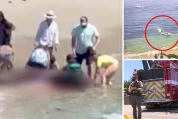 Horror-Video zeigt Momente, nachdem ein Hai-Angriff einen Schwimmer schwer verletzt hat