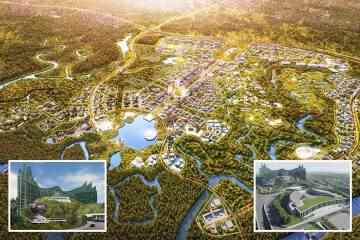Ein 24-Milliarden-Pfund-Plan, um das sinkende Jakarta 1.200 Meilen auf eine abgelegene Dschungelinsel zu verschieben
