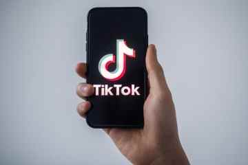 Der virale Wellenfilter auf TikTok erklärt