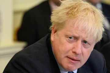 Boris Johnson wird die Tory-Remainer-Rebellen vereiteln, wenn er die Steuern senkt