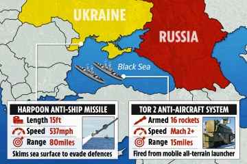 Russland stattet Schiffe mit Luftabwehr aus Angst vor britischen Harpoon-Raketen aus