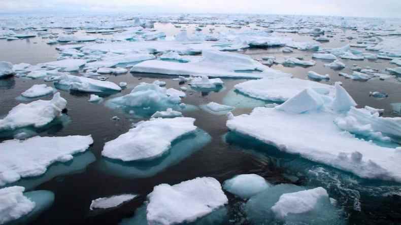 Arktisches Meereis im Jahr 2012