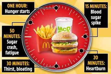 Minute für Minute - was das Essen von McDonald's in nur einer Stunde mit deinem Körper macht