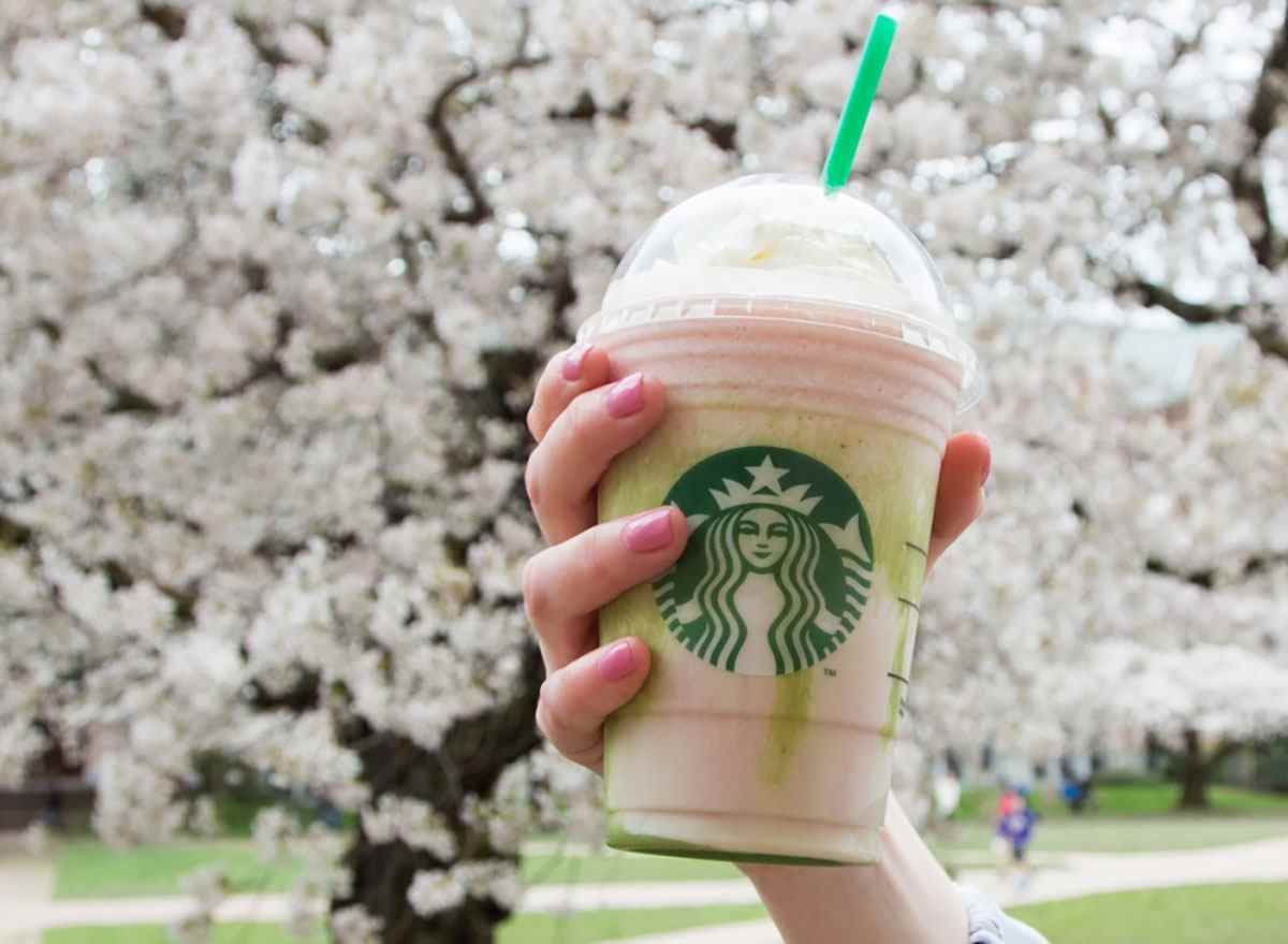 woman's hand holding cherry blossom frappuccino in plastic cup in front of cherry blossom tree