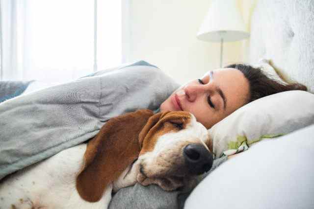 Frau, die friedlich mit ihrem Hund im Bett schläft