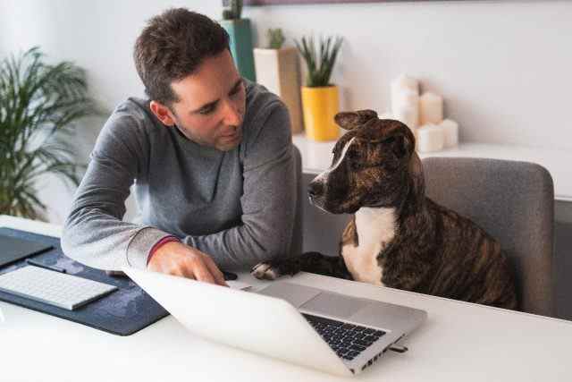 Mann arbeitet an seinem Computer, erklärt seinem Hund etwas, Babysprache