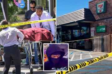 Zwei Tote und mehrere Verletzte nach Schießereien in einem 7-Eleven-Laden, während Polizisten Verdächtige jagen  