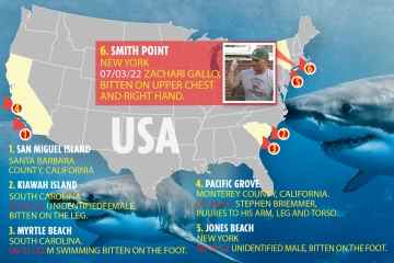 Die US-Karte für Haiangriffe enthüllt Hotspots von Raubtieren, nachdem 22 im Jahr 2022 misshandelt wurden