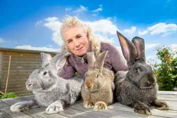Das größte Kaninchen der Welt lebt dank riesiger Enkelkinder weiter