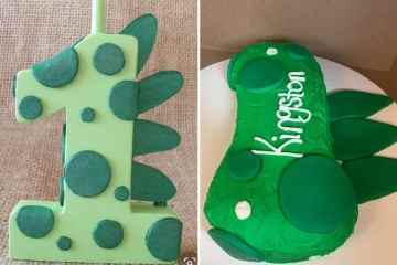 Ich wollte einen Dino-Kuchen für meinen Sohn, bekam aber stattdessen einen Loch Ness Wiener