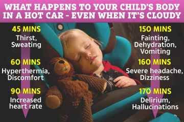 Minute für Minute, was mit dem Körper Ihres Kindes in einem Auto in der Hitzewelle passiert