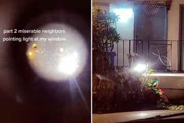 Meine Nachbarn lassen in einer Fehde um ein Tor HELLES LICHT in mein Haus scheinen