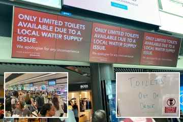 Chaos, als dem Flughafen Gatwick das WASSER ausgeht und Toiletten nicht mehr gespült werden können