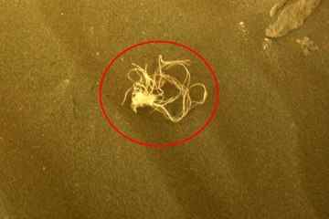 Die Nasa entdeckt ein seltsames „spaghettiähnliches“ Objekt auf dem Mars – aber es gibt eine Erklärung