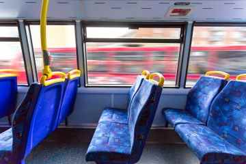 Es gibt einen Grund, warum Bussitze immer grelle Muster haben, und das ist ekelhaft