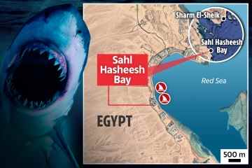 Die Karte zeigt, dass Hai-Angriffe in Ägypten YARDS voneinander entfernt waren und es könnte ein Killer-Biest sein