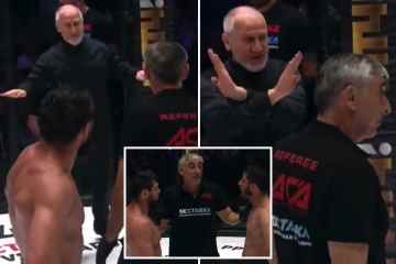 Sieh dir an, wie der MMA-Boss den Käfig stürmt, um Kämpfer aus Wahnsinnigen Gründen zu disqualifizieren