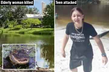 Gator zerfleischt Mädchen in der Nähe einer Bootsrampe, Tage nachdem Frau von einer Bestie in den Tod gezerrt wurde