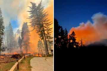 Yosemite-Feuer bedroht berühmte Riesenmammutbäume, da Bereiche des Parks evakuiert werden