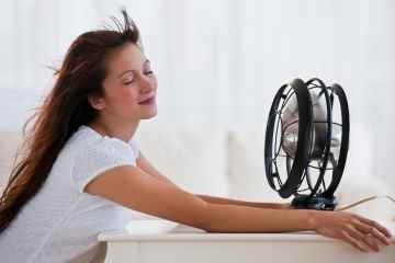 Hitzewellen-Warnung für Benutzer elektrischer Ventilatoren – 6 GROSSE Fehler, die Sie machen