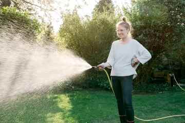 Ich bin ein Gartenprofi – 6 schnelle und einfache Arbeiten, um Ihren Rasen während einer Hitzewelle zu schützen