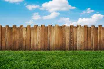 Mein Nachbar hat einen Zaun auf MEINEM Grundstück errichtet - er will, dass ich dafür zahle