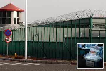 Laut einer Studie erntet China die Herzen von Gefangenen, während sie „NOCH AM LEBEN“ sind