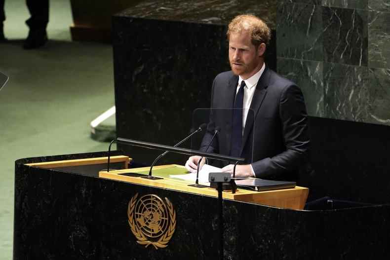 Prinz Harry UN-Rede zu Ehren von Nelson Mandela