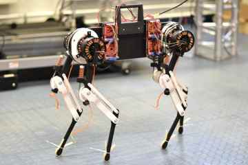 KI-Roboterhund mit „virtueller Wirbelsäule“, der eine Stunde nach der „Geburt“ laufen lernt