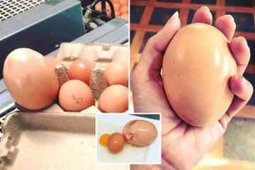 Ein riesiges Ei, das von einer gewöhnlichen Henne gelegt wird, wird aufgebrochen, um ein ANDERES Ei im Inneren freizulegen