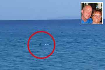 Das Entsetzen der Briten, als „10ft SHARK“ Touristen auf einer griechischen Insel aus dem Wasser jagt