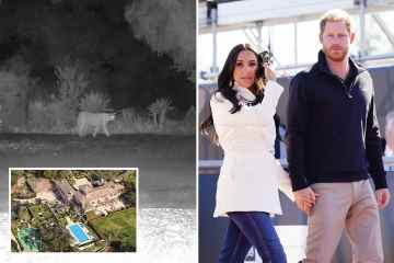 Harry und Meghan warnten einen Berg LION, der in der Nähe ihrer 14 Millionen Dollar teuren Villa umherstreift