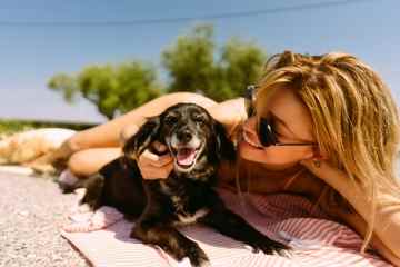 Die besten Sonnenschutzmittel für Hunde, erprobt und getestet