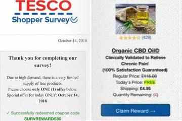 Gefälschter Tesco-Wettbewerbs-E-Mail-Betrug bringt SIE dazu, Bankdaten zu übergeben