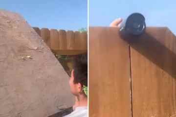 Unser gruseliger Nachbar hat eine Kamera an seinem Zaun angebracht, um uns in unserem eigenen Garten auszuspionieren