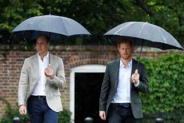 Livid Prince Harry & William stritten sich über Meghans Verhalten, dokumentarische Behauptungen