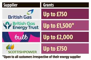 Familien kämpfen darum, Zuschüsse in Höhe von 750 £ von British Gas zu erhalten, um bei Rechnungen zu helfen