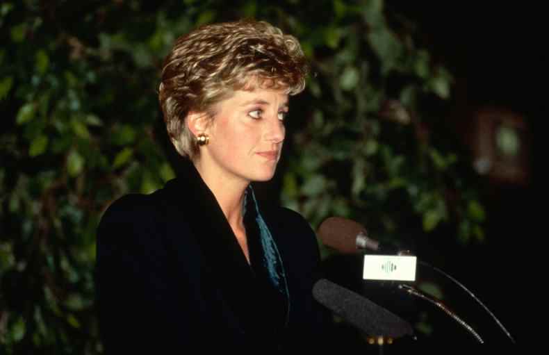 Prinzessin Diana Medienrede, 1993