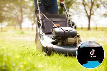 Gärtner warnten vor „gefährlichem“ TikTok Lawn-Hack, der Verletzungen verursachen könnte