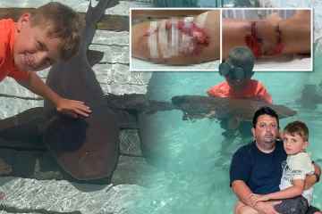 Ein verängstigter britischer Junge, 8, wurde im Urlaub auf den Bahamas von Haien angegriffen 