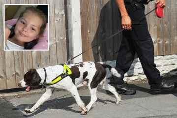 Spürhunde am Tatort von Olivias „Mord“, während Polizisten eine gründliche Suche durchführen