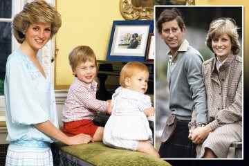 Experten zufolge würde Diana Harrys Entscheidung, die königliche Familie zu verlassen, unterstützen