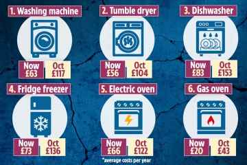 Energierechnungswarnung bei einfachen Geräteoptimierungen, mit denen Sie 100 £ sparen könnten