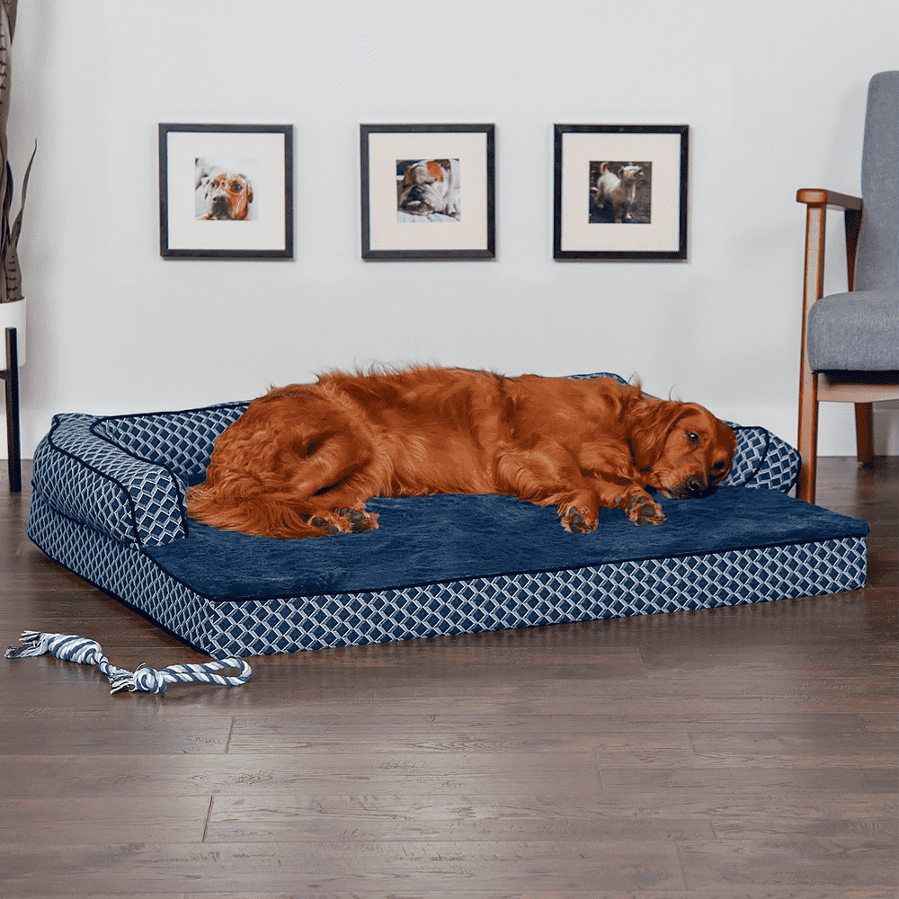 Furhaven Comfy Couch Orthopädisches Hundebett mit abnehmbarem Bezug