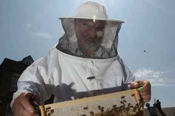 Ich bin der Imker der Königin - ich habe die traurige Nachricht von ihrem Tod in meine Bienenstöcke gebracht